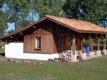 Gite à Taller,Gîte Confortable au Cœur de la Forêt Landaise avec Terrasse et Jardin FR-1-360-135 N°832438