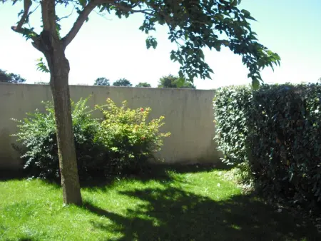 Maison cosy près des dunes, 5 pers, jardin clos, terrasse, Wi-Fi, animaux acceptés, parking - Photo 14