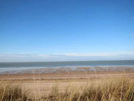 Maison cosy près des dunes, 5 pers, jardin clos, terrasse, Wi-Fi, animaux acceptés, parking - Photo 20