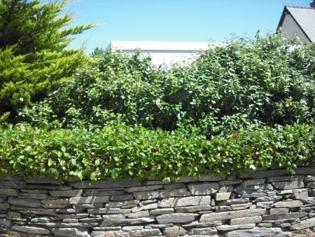 Maison cosy près des dunes, 5 pers, jardin clos, terrasse, Wi-Fi, animaux acceptés, parking - Photo 23