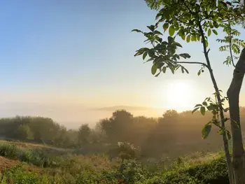 Gîte in Saint Étienne au Mont,Gîte à Saint-Étienne-au-Mont avec jardin privatif, cheminée, WiFi et animaux admis FR-1-376-77 N°832635