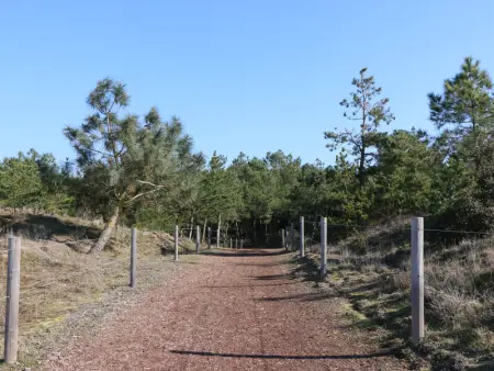 Charmante villa à 500m de la plage, calme et tout confort - Photo 16