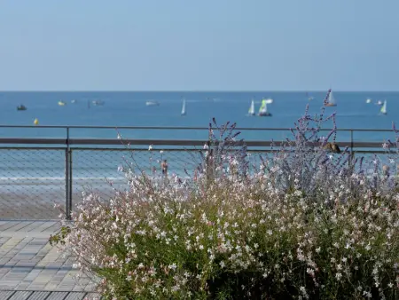 Charmant T3 avec Jardin Clos à 700m de la Plage et Commerces - Photo 19