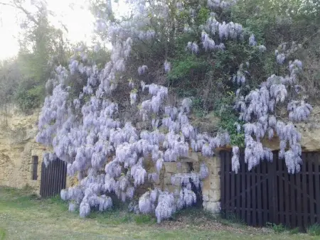Charmante maison XVIIIe avec jardin proche Azay-le-Rideau - Photo 15