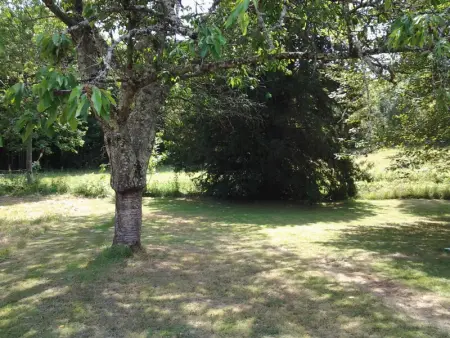 Charmante maison XVIIIe avec jardin proche Azay-le-Rideau - Photo 17