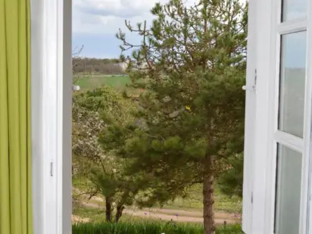 Charmante maison avec jardin privé, cheminée et WIFI - Photo 32