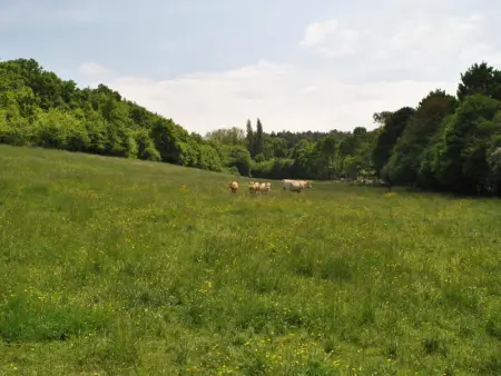 Charmant gîte paysan XIXe avec terrasse et jardin bordé par un ruisseau, à 1,5 km d'Azay-le-Rideau - Photo 26