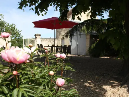 Charmante maison XIXème à Beaumont-en-Véron, jardin clos, proche vignobles - Photo 4