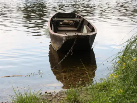 Charmante maison XIXème à Beaumont-en-Véron, jardin clos, proche vignobles - Photo 15