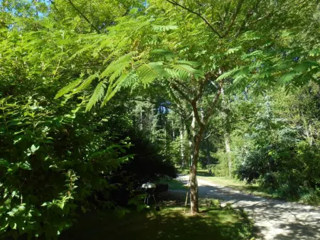 Évasion Romantique: Charmant Gîte 2 Pers., Parc Boisé, Activités & Confort Tout Inclus - Photo 23