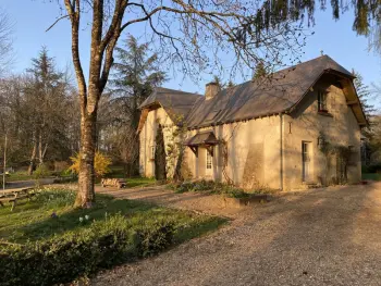 Gite à Souvigny de Touraine,Gîte douillet en forêt d'Amboise, parc boisé 2.5 ha, cheminée, vélos, WiFi, jardin privé, animaux acceptés FR-1-381-457 N°832783