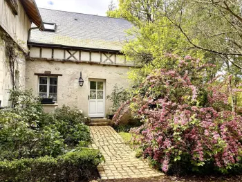 Gite à Souvigny de Touraine,Gîte confortable avec parc boisé, activités familiales et équipements modernes près de la Loire FR-1-381-470 N°832786