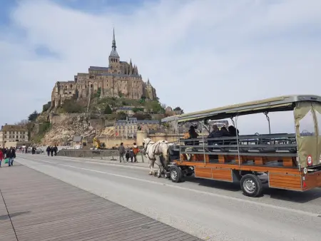Maison indépendante avec cheminée et jardin clos, près du Mont Saint-Michel - Photo 20