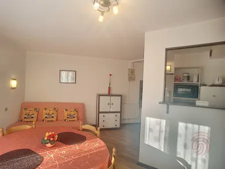 Appartement F2 lumineux avec balcon, proche centre et Thermes, animaux acceptés, wifi gratuit - Photo 6