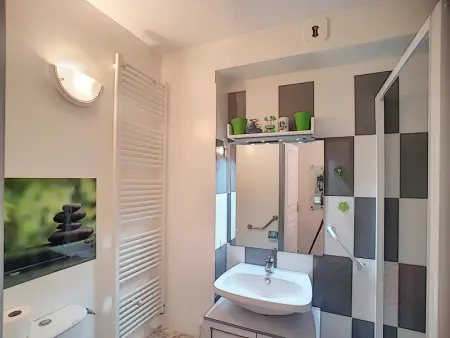 Bel F2 climatisé à 400m du centre, WiFi, animaux acceptés - Photo 10