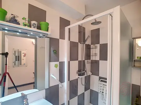 Bel F2 climatisé à 400m du centre, WiFi, animaux acceptés - Photo 11