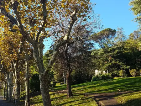 F2 avec terrasse, proche Thermes, animaux acceptés, wifi, parking - Photo 12