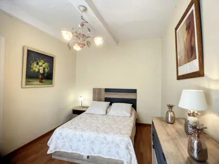 Bel F2 lumineux avec terrasse privée, à 5 min des Thermes et cœur de ville, animaux acceptés - Photo 8