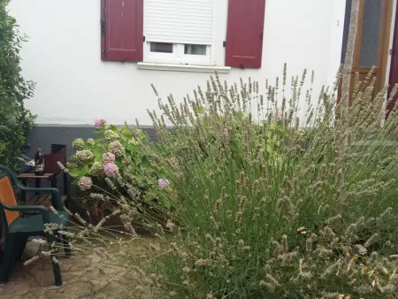 Bel F2 lumineux avec terrasse privée, à 5 min des Thermes et cœur de ville, animaux acceptés - Photo 20