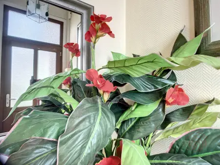 Bel F2 lumineux avec terrasse privée, à 5 min des Thermes et cœur de ville, animaux acceptés - Photo 22