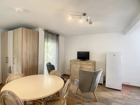 Studio cosy à 50m des Thermes de Lamalou-les-Bains avec terrasse, wifi et animaux acceptés - Photo 5