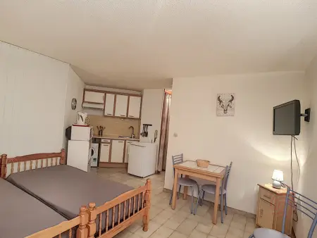 Charmant appartement avec terrasse, parking gratuit et animaux acceptés, proche des thermes à Lamalou - Photo 4