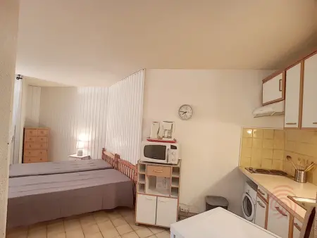 Charmant appartement avec terrasse, parking gratuit et animaux acceptés, proche des thermes à Lamalou - Photo 8