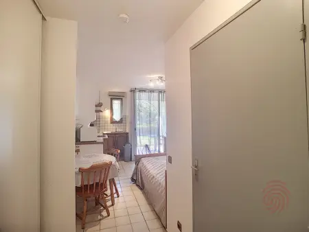 Charmant studio RDC avec terrasse, proche Thermes et centre-ville, accepte animaux - Lamalou-les-Bains - Photo 3