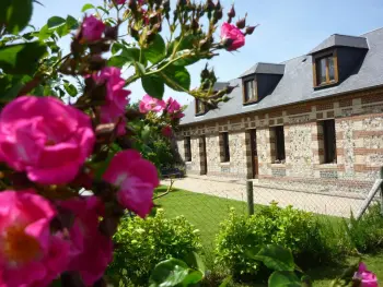 Gite à Octeville sur Mer,Maison charmante avec jardin clos, proche de la mer, activités variées, animaux acceptés sur accord. FR-1-441-206 N°832977