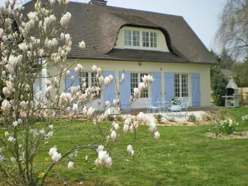 Gite à Angiens,Maison lumineuse avec jardin clos, proche de Veules les Roses, équipée pour bébé, animaux acceptés. FR-1-441-420 N°833116