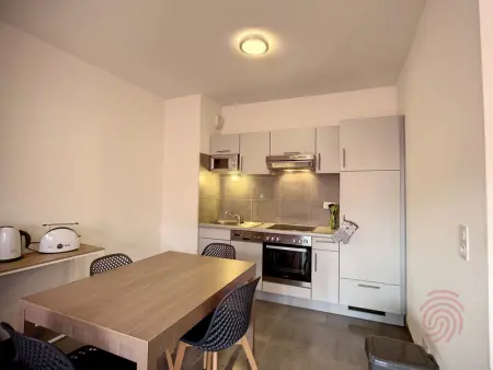 Appartement F2 climatisé avec parking, Wi-Fi, animaux acceptés, proche centre et Thermes - Photo 3