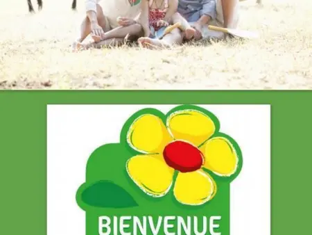 Maison Solognote avec piscine partagée et jardin - Photo 17