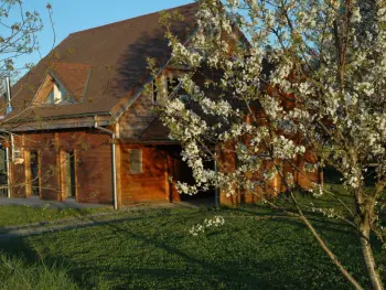 Gite à Louchy Montfand,Chalet familial avec piscine, jardin et activités près du vignoble de Saint-Pourçain FR-1-489-151 N°833311