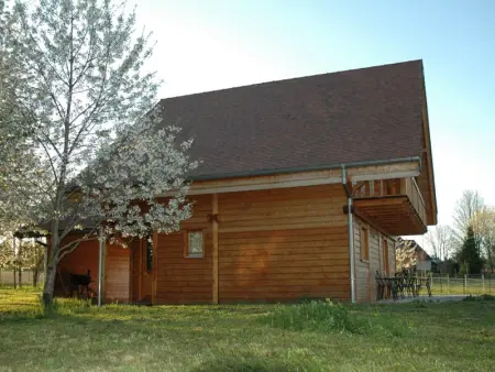 Chalet charmant au cœur du vignoble, terrasse et jardin - Photo 2