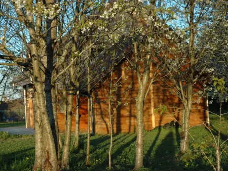 Chalet charmant au cœur du vignoble, terrasse et jardin - Photo 14
