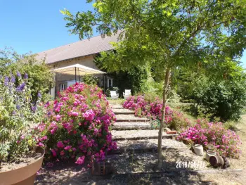 Gite à Noyant d'Allier,Gîte de charme au cœur du bocage bourbonnais, avec activités variées et confort familial FR-1-489-225 N°833346