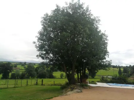 Gîte rustique et contemporain avec piscine privée, wifi, animaux admis - Photo 15