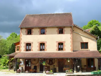 Gite à Vernusse,Gîte de charme avec piscine couverte, sauna et bain nordique en pleine nature FR-1-489-255 N°833360