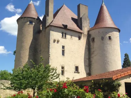Gîte rural authentique avec animaux admis et jardin - Photo 25