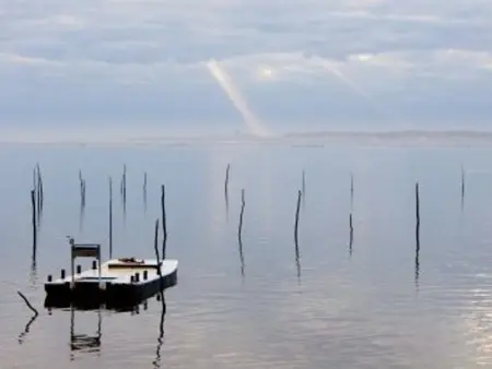 Villa moderne 4 chambres, piscine chauffée, Wi-Fi, proche plage et commerces, Arcachon - Photo 27