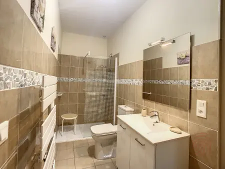 Appartement F3 avec Wifi et Parking proche Thermes, animaux acceptés à Lamalou-les-Bains - Photo 11