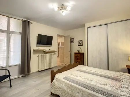 Appartement F3 avec Wifi et Parking proche Thermes, animaux acceptés à Lamalou-les-Bains - Photo 18
