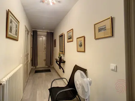 Appartement F3 avec Wifi et Parking proche Thermes, animaux acceptés à Lamalou-les-Bains - Photo 20