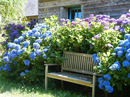 La Bergerie - Hortensia: Maison Ancienne avec Jardin Anglais - Photo 2