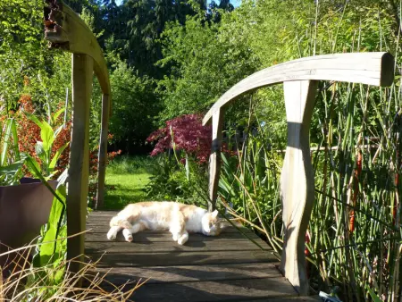 La Bergerie - Hortensia: Maison Ancienne avec Jardin Anglais - Photo 20