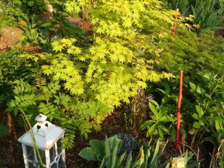 La Bergerie - Hortensia: Maison Ancienne avec Jardin Anglais - Photo 21