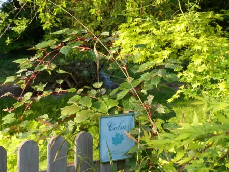 La Bergerie - Hortensia: Maison Ancienne avec Jardin Anglais - Photo 23