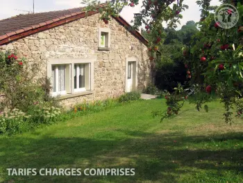 Gite à Saint Didier sur Rochefort,Gîte charmant avec cheminée, terrasse et borne de charge, à Saint-Didier-sur-Rochefort FR-1-496-12 N°833519