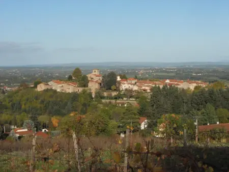 Gîte coquet avec piscine et jeux pour enfants à Saint-Haon-le-Châtel - Photo 13