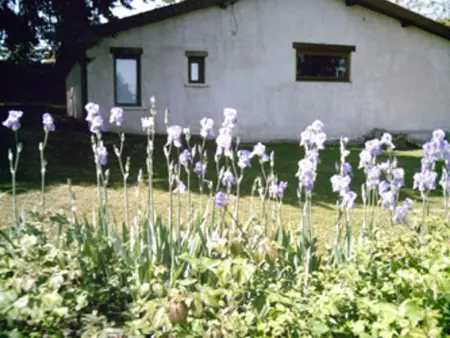 Gîte coquet avec piscine et jeux pour enfants à Saint-Haon-le-Châtel - Photo 14